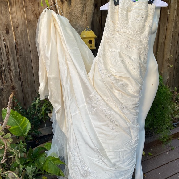 Pronovias raw silk strapless wedding dress gown with train back buttons